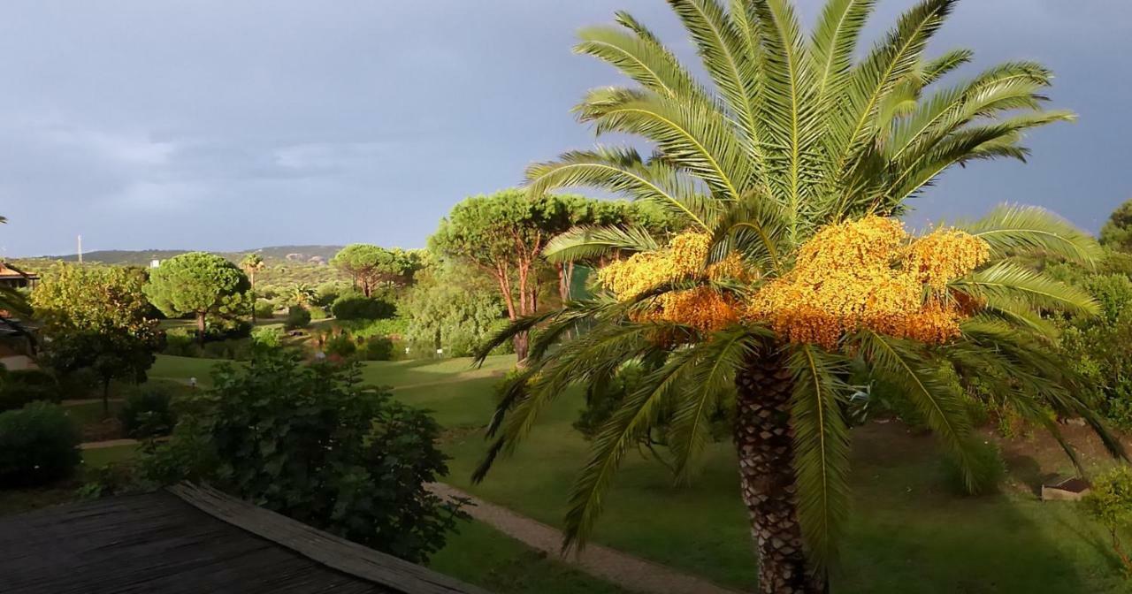 Palmtreehouse-sardiniaencharming&relaxing *